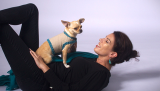 Dog Wraparound with Velvet Ribbons