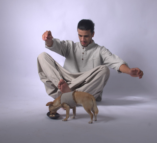 Ali Baba Style Pants Clothing