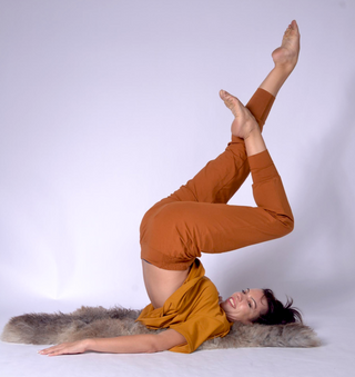 Ladies Pants Mustard / XS