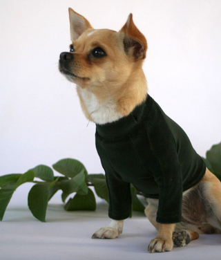 Velura Dog Sweater