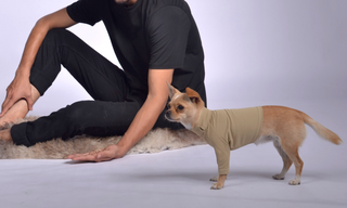 Pique Dog Outfit