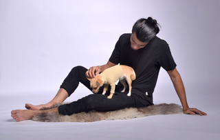 Pique Dog Outfit