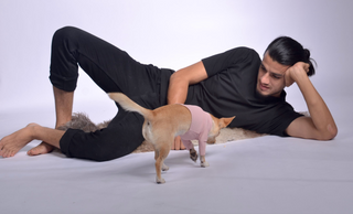 Pique Dog Outfit