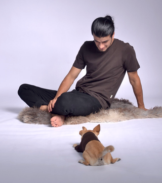 Pique Dog Outfit