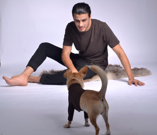 Pique Dog Outfit