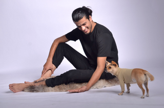 Pique Dog Outfit