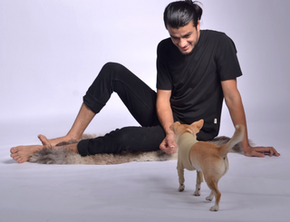 Pique Dog Outfit