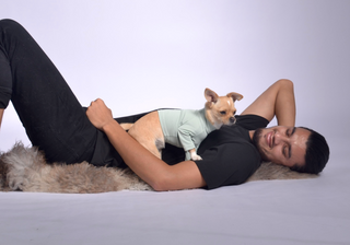 Pique Dog Outfit