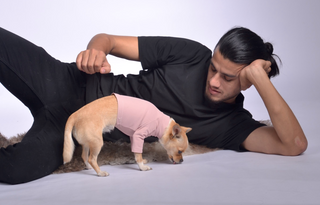 Pique Dog Outfit