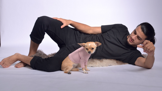 Pique Dog Outfit