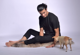 Pique Dog Outfit
