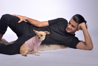Pique Dog Outfit