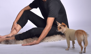 Pique Dog Outfit Beige / Extra small