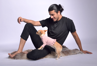 Pique Dog Sweater with Frill