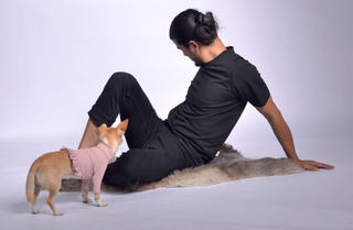 Pique Dog Sweater with Frill