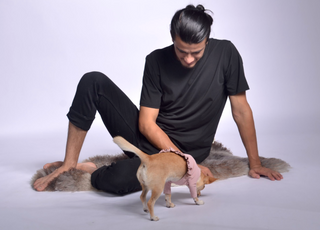 Pique Dog Sweater with Frill