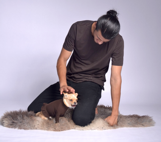 Pique Dog Sweater with Frill