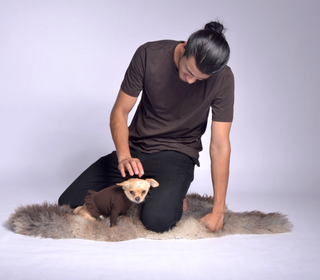 Pique Dog Sweater with Frill