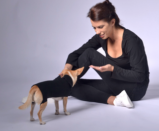 Plain and Clean Long Dog Sweater