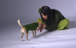 Plain and Clean Long Dog Sweater