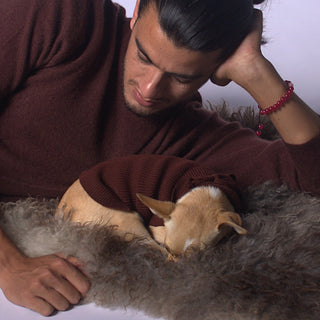 Plain and Clean Long Dog Sweater Coffee / XS