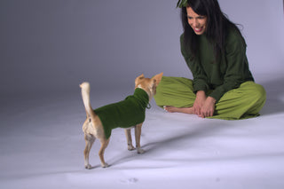 Plain and Clean Long Dog Sweater Forest Leaf Green / XS