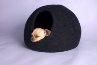 Black pet bed with a small dog peeking out on a white background