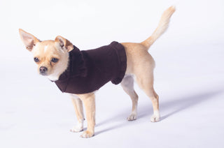 Ruffled Dog Sweater