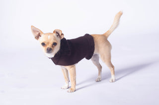 Ruffled Dog Sweater