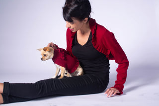 Ruffled Dog Sweater