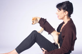 Ruffled Dog Sweater