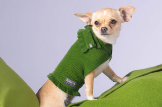 Ruffled Dog Sweater Forest Leaf Green / XS