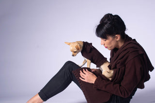 Ruffled Dog Sweater