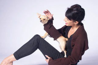 Ruffled Dog Sweater