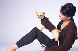 Ruffled Dog Sweater