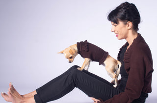 Ruffled Dog Sweater