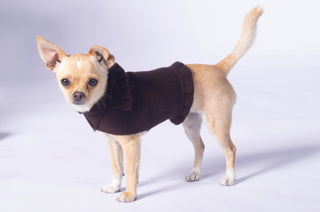 Ruffled Dog Sweater