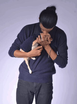 Ruffled Dog Sweater (Navy Chill) Dark Blue / XS