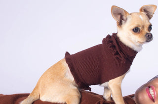 Ruffled Dog Sweater Golden Dark Brown / XS