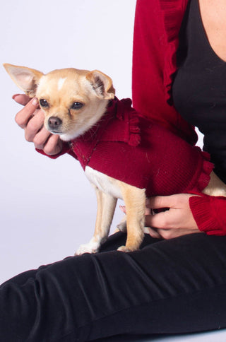 Ruffled Dog Sweater The Perfect Red / XS