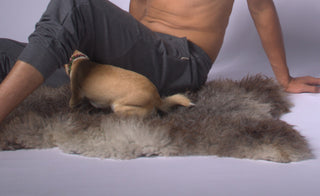 Sweat Pants Clothing