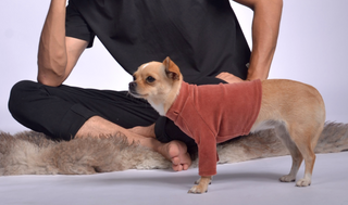 Velura Dog Sweater