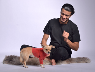 Velura Dog Sweater