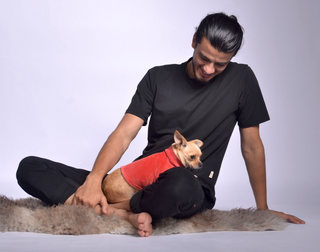 Velura Dog Sweater