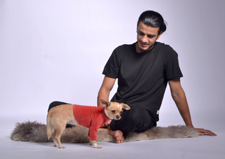 Velura Dog Sweater