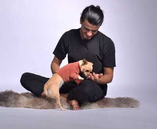 Velura Dog Sweater
