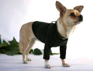 Velura Dog Sweater Dark Moss Green / Extra small