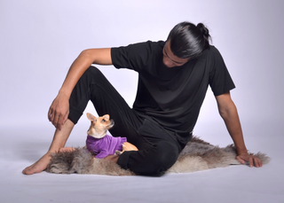 Velura Dog Sweater with Frill