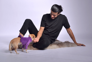 Velura Dog Sweater with Frill