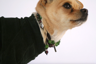 Velura Dog Sweater with Frill